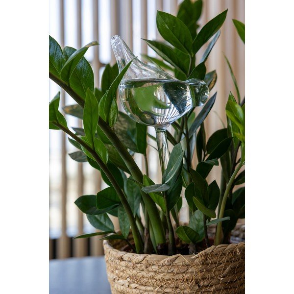 Klaasist kastmispall 197 ml - Esschert Design-image-1