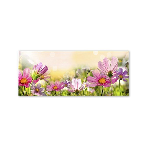 Obraz Styler Glas Flowers Astry, 50 x 125 cm