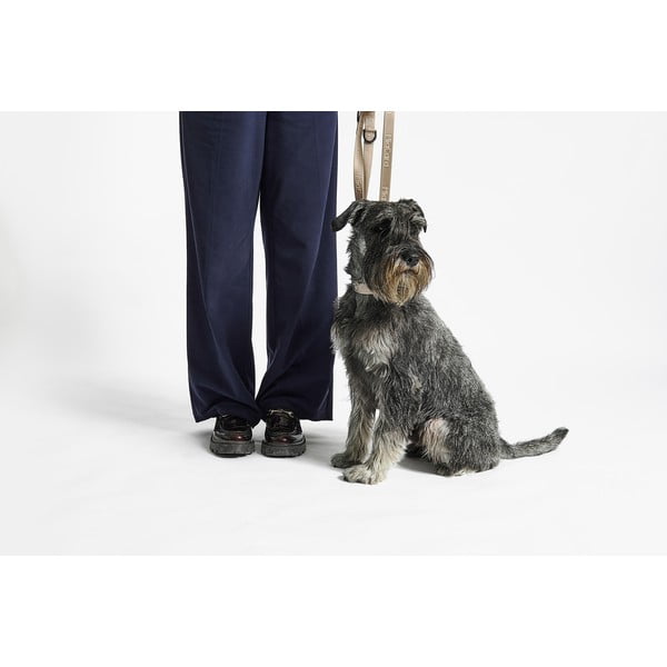 Beež kaelarihm L/XL pikkus 40 cm Modena Greige L/XL – MiaCara-image-4