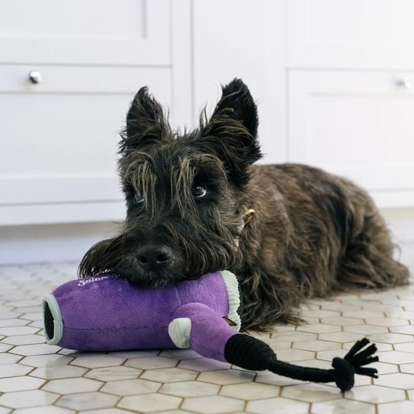 Mänguasi koerale Föön - P.L.A.Y.-image-1