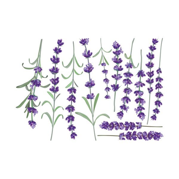 Komplekt kleebised seinale Levanders - Ambiance-image-2