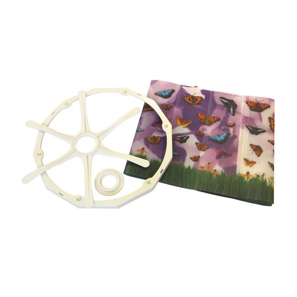 Butterflies, combo-image-2