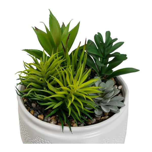 Kunsttaimed 2 tk (kõrgus 19 cm) Cactus - Casa Selección-image-2