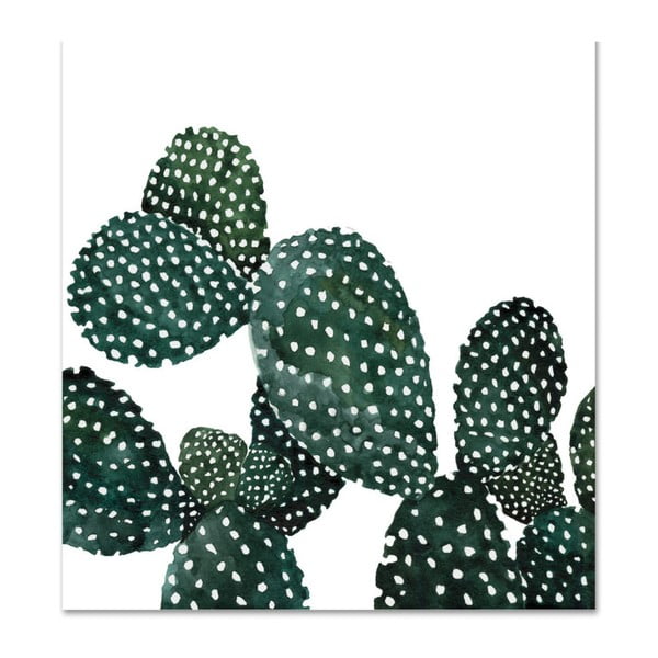 Plakát Leo La Douce Cactus Family, 42 x 42 cm