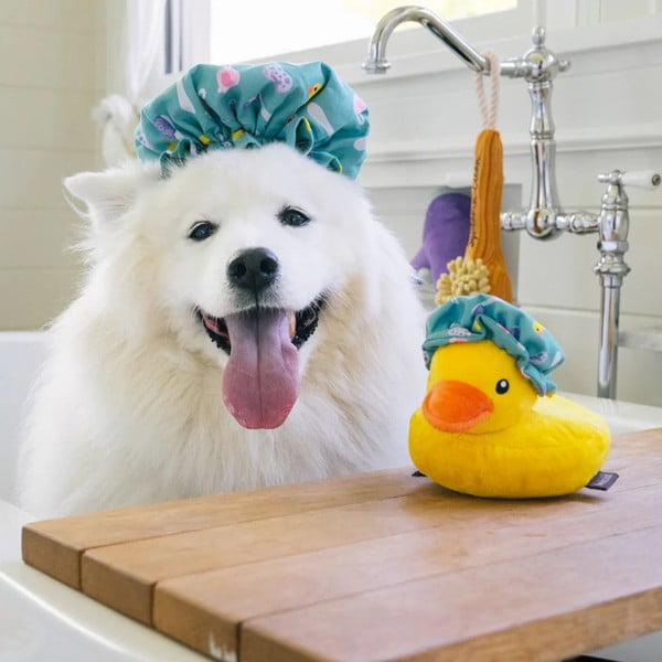 Mänguasi koerale Suplusmüts - P.L.A.Y.-image-1