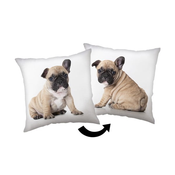 Laste padi 40x40 cm Bulldog - Jerry Fabrics