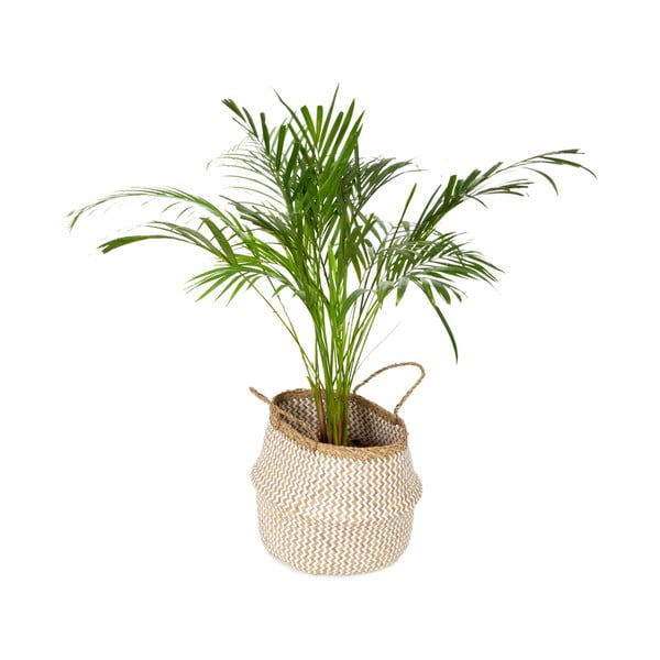 Kerge hele mererohust hoiukorv Zic Zac, ⌀ 35 cm-image-4