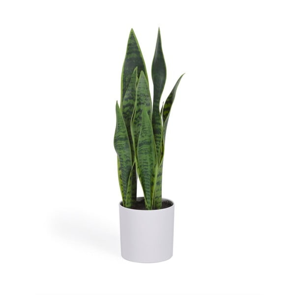 Kunsttaim (kõrgus 55 cm) Sansevieria - Kave Home