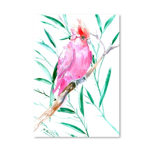 Plakát Cockatoo Pink