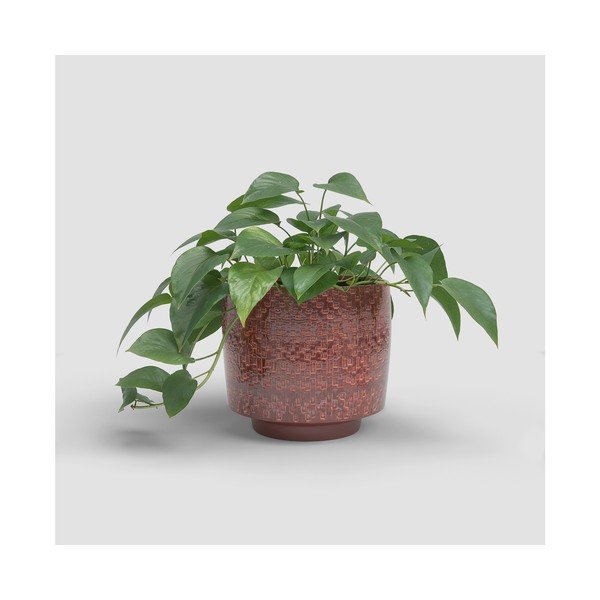 Keraamiline käsitöö lillepoti kate ø 21 cm Minerva - Artevasi-image-3