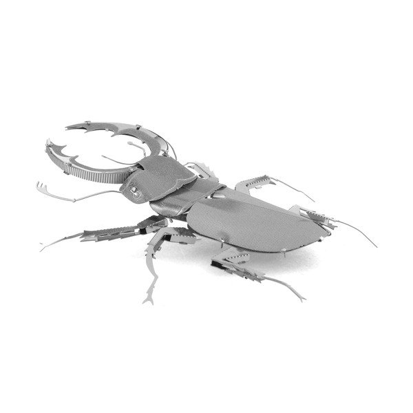 Model Stag Beetle-image-3