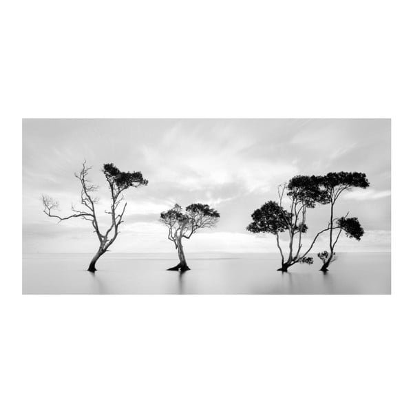 Obraz DecoMalta Black&White, 80 x 60 cm