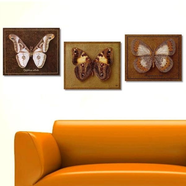 3dílný obraz Butterfly, 45x90 cm