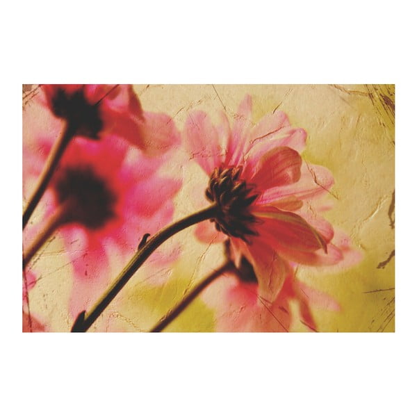 Fotoobraz Květy Vintage, 90x60 cm