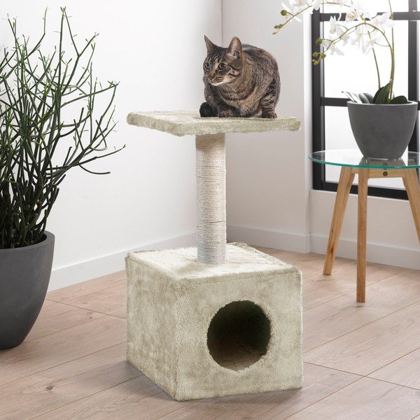 Kasside puhkepaik House – Love Story-image-2