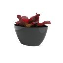 Taaskasutatud plastikust karp 45 cm Bahia - Artevasi