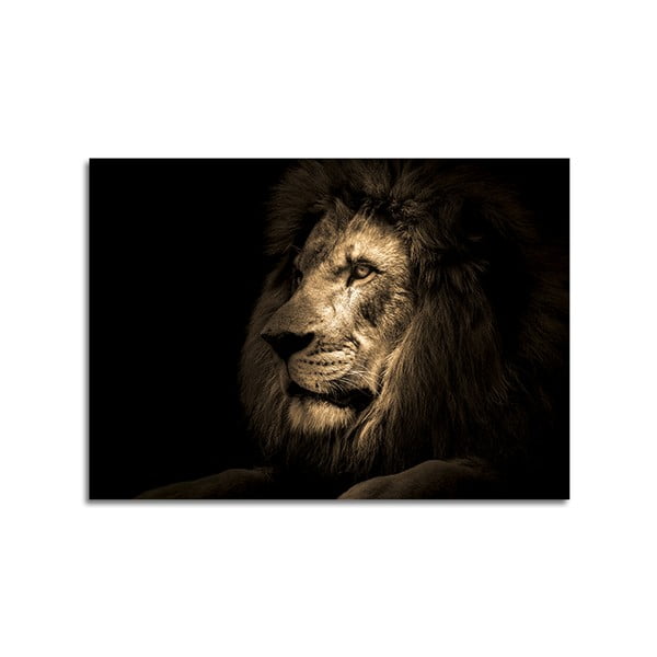 Klaasist maal 100x70 cm Lion - Styler