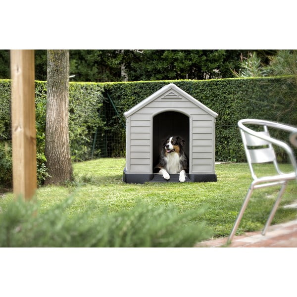 Hall väike koerakuut 99x95 cm – Curver-image-2