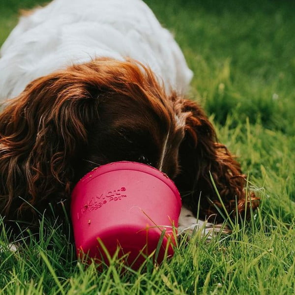 Lakkumiskauss Yoggie Pot Pink – LickiMat-image-1