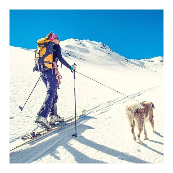 Sinine rihm M 3 Bungee – Lishinu-image-3