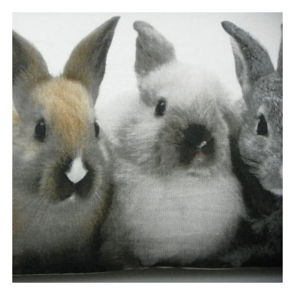 Polštář Rabbits 20x90 cm-image-1