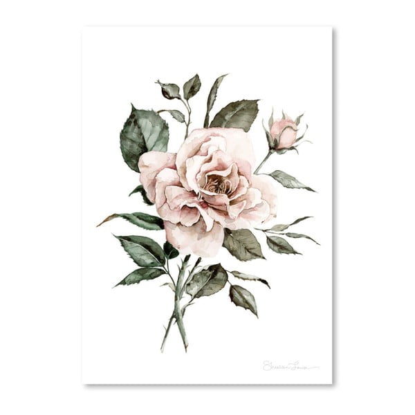 Plakát Americanflat Faded Pink Rose by Shealeen Louise, 30 x 42 cm
