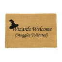 Looduslik kookosmatt , 40 x 60 cm Wizards Welcome - Artsy Doormats