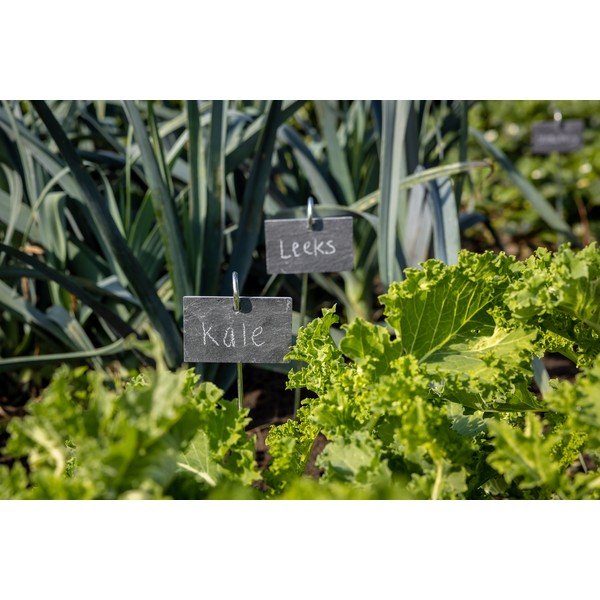 Sildid lilledele komplektis – Esschert Design-image-1