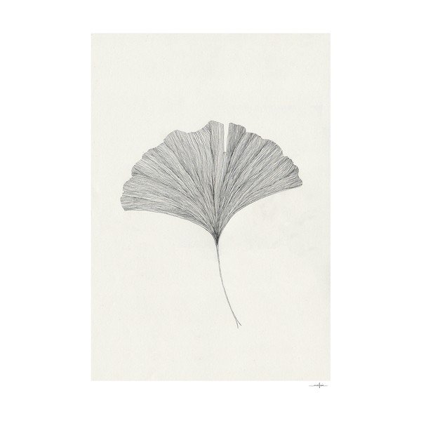 Plakat 50x70 cm Ginkgo Leaf – Ana Frois - The Plakat Club