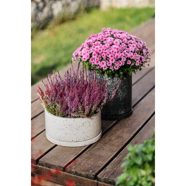 Tumehall pott, ø 34 cm Terrazzo - Bonami Selection-image-1