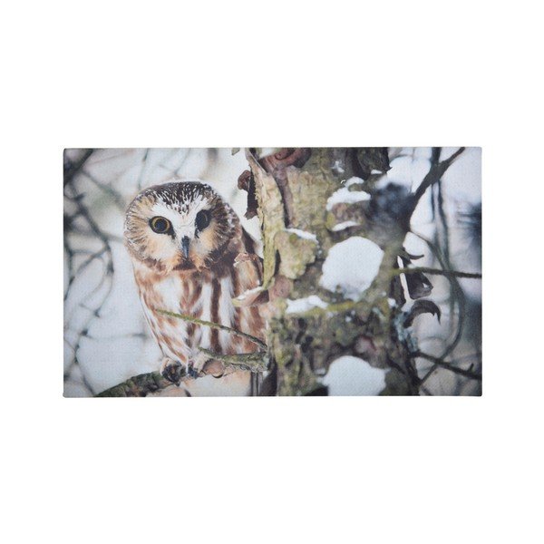 Podložka pod litinovou rohožku Esschert Design Owl