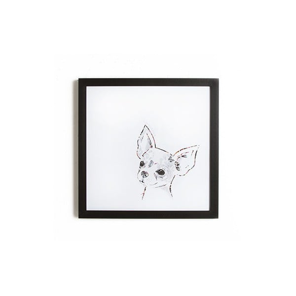 Obraz v rámu Graham & Brown Chihuahua, 40 x 40 cm
