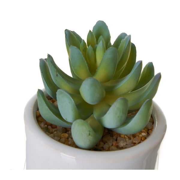 4 kunstlille komplektis Cactus - Casa Selección-image-2