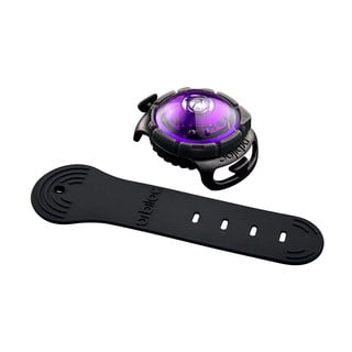 LED-kaelarihm Purple – Orbiloc