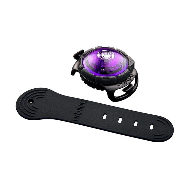 LED-kaelarihm Purple – Orbiloc-image-1