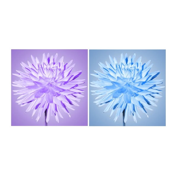 Set obrazů na skle Chomáčky květu, 20x20 cm, 2 ks