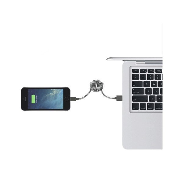 Nabíjecí kabel Cable Zebra Apple-image-2