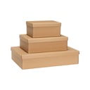 Naturaalset värvi kaanega kartongist hoiukarbid 3 tk 44x31x10 cm komplektis Storeit - Hübsch