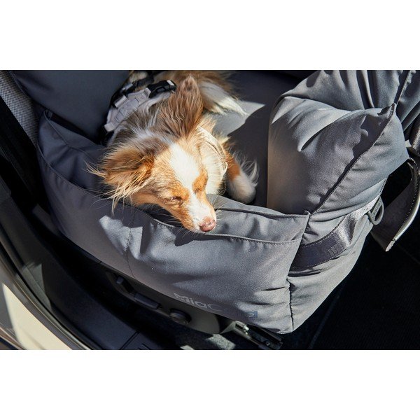 Tumehall koera kandekott 50x50 cm Viaggio Asphalt - MiaCara-image-3