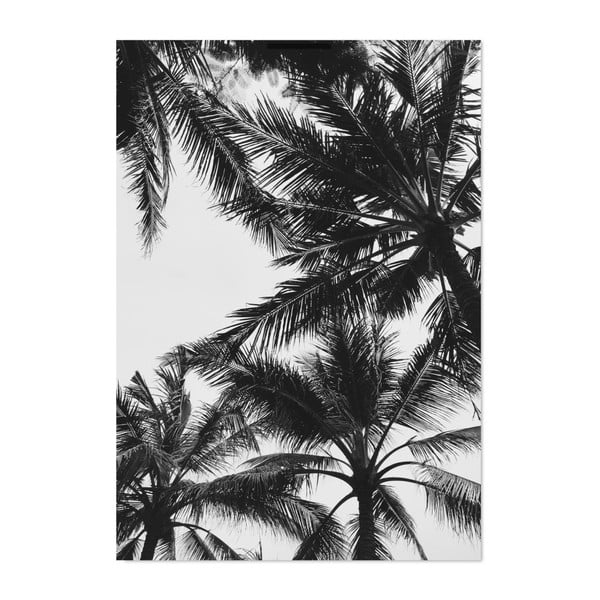 Plakát HF Living Botanic Palms, 21 x 30 cm