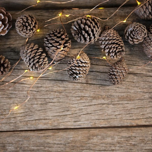 Komplekt 8 LED valgusketti Komplekt, 8 x 20 valgustit, pikkus 2,3 m - DecoKing-image-1