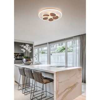 Valge-pruun LED dimmerdatav laevalgusti koos puldiga Mandala - Trio