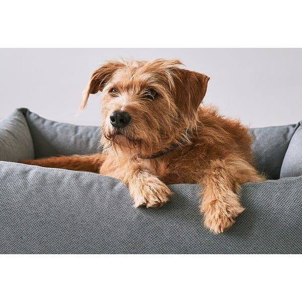 Pruun koeravoodi 93x120 cm Mare Kelp L - MiaCara-image-2