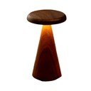 LED-lauavalgusti puidust varjuga (kõrgus 21 cm) Sylva - Gingko
