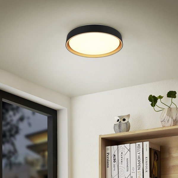 Must LED laevalgusti ø 40 cm Felis - Reality-image-1