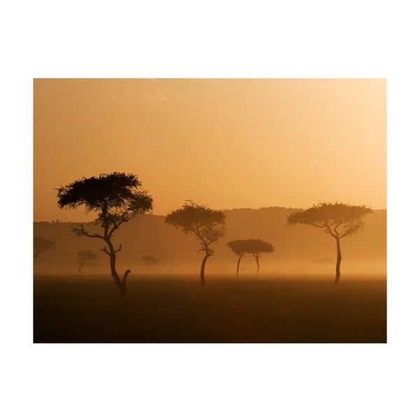 Suureformaadiline tapeet , 400 x 309 cm Massai Mara - Artgeist