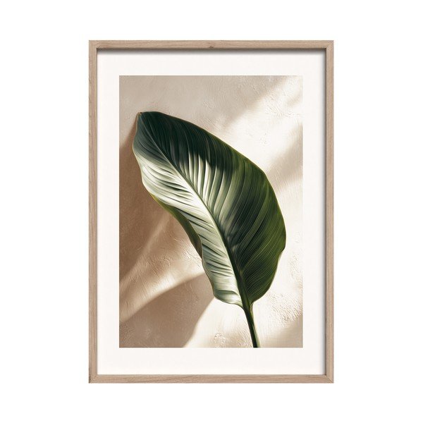 Trükitud pilt raamiga 50x70 cm Strelizia Leaf - Styler