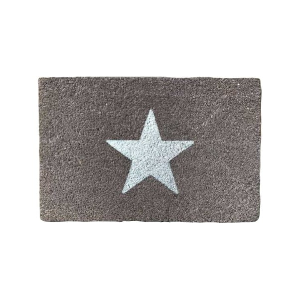 Looduslik kookosmatt , 40 x 60 cm Glitter Star - Artsy Doormats