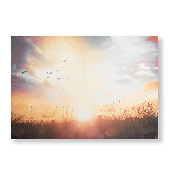 Obraz Graham & Brown Serene Sunset Meadow, 100 x 70 cm