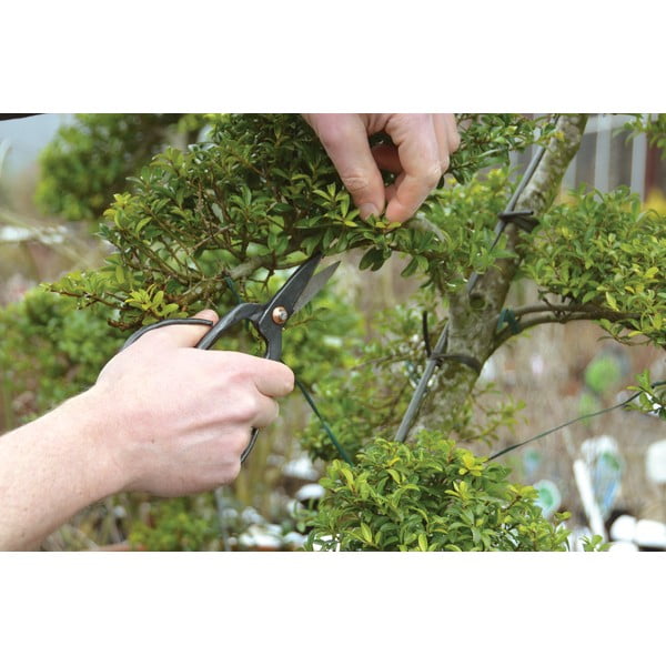 Aia terasest bonsai käärid - Esschert Design-image-3